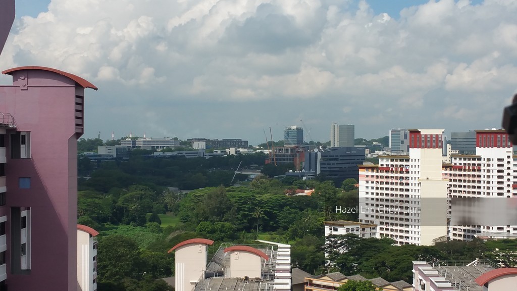 Blk 160 Mei Ling Street (Queenstown), HDB 3 Rooms #106216072